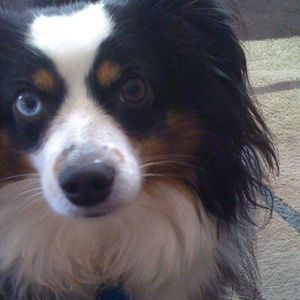 Meet your Posher, Christel